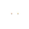 Cuyana Circle Stud Earrings* Accessories