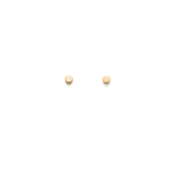 Cuyana Circle Stud Earrings* Accessories